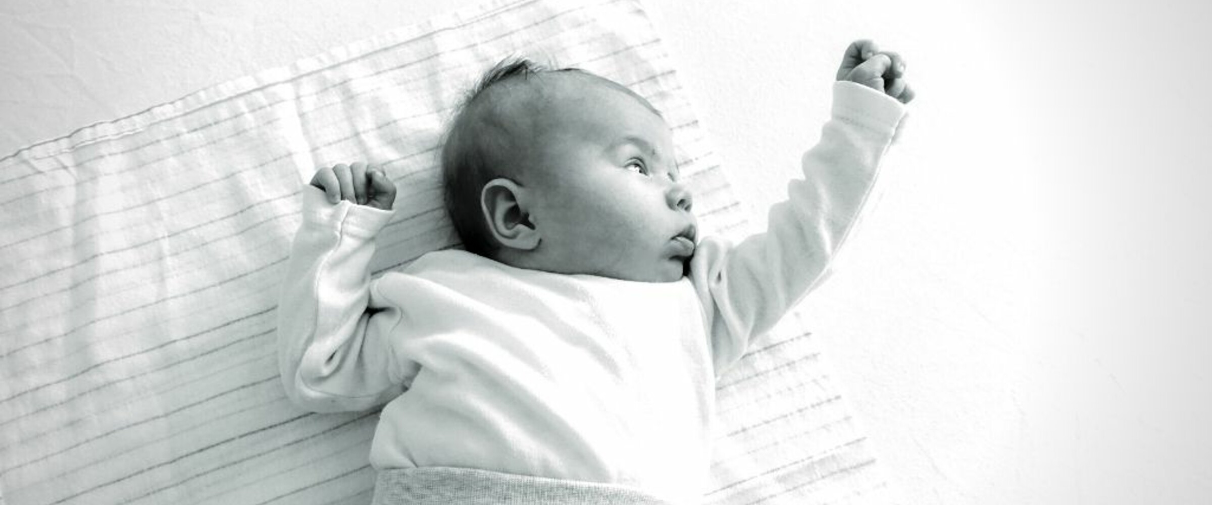 Donor conception baby