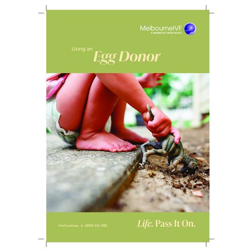 Using an Egg Donor