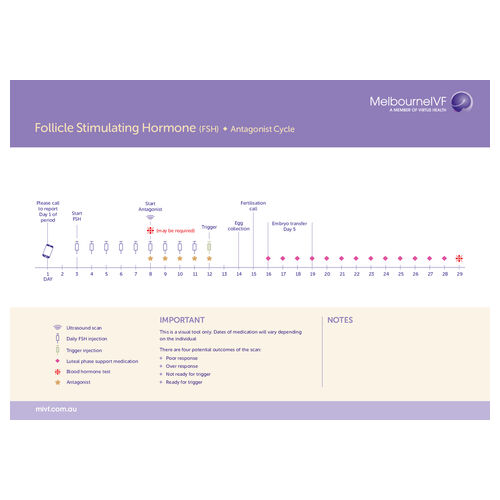 Nursing timeline Follicle Stimulating Hormone (FSH)/Antagonist Cycle