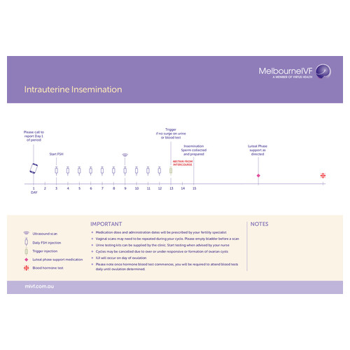 Nursing timeline Intrauterine Insemination 
