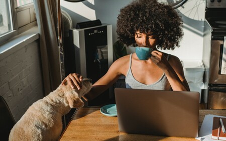 woman drinking coffee and looking at her laptop