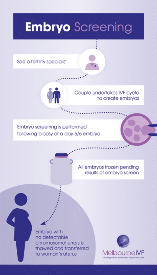 Embryo screening infographic process