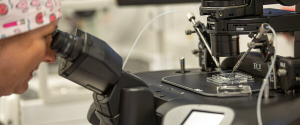 embryologist